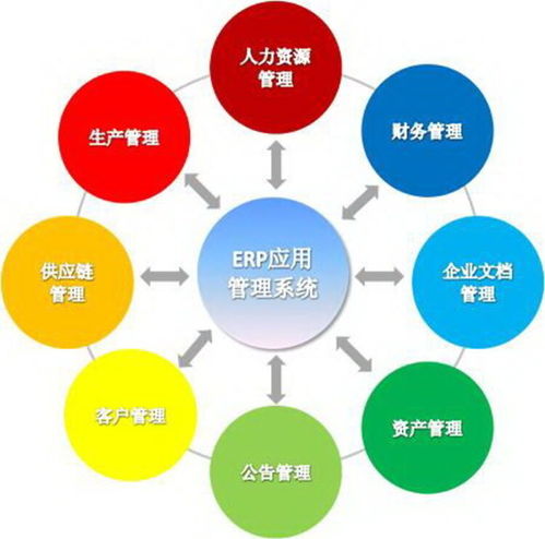 上海企業軟件開發 機遇、挑戰與發展趨勢