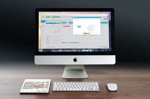 從概念到實施 深入解析App開發(fā)、定制開發(fā)與企業(yè)軟件構建