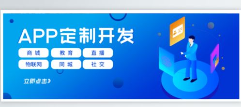 企業(yè)軟件開發(fā) 定制開發(fā)與普通開發(fā)的優(yōu)勢對比與選擇策略
